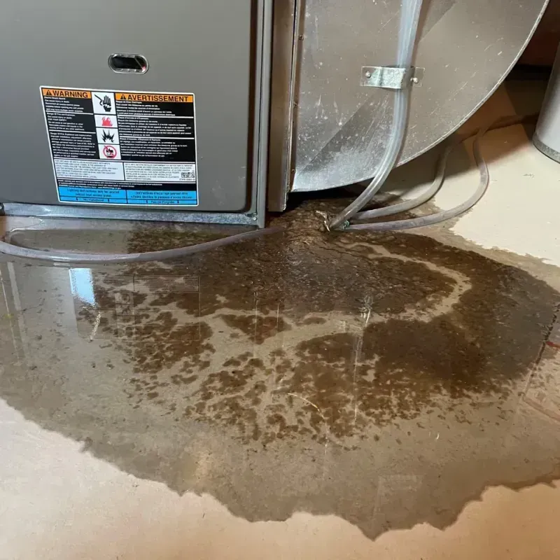 Appliance Leak Cleanup in Genoa, IL